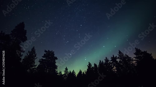 Aurora Borealis Over Pine Forest Silhouette Under Night Sky