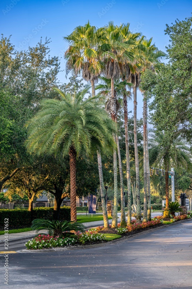 Fototapeta premium landscaping