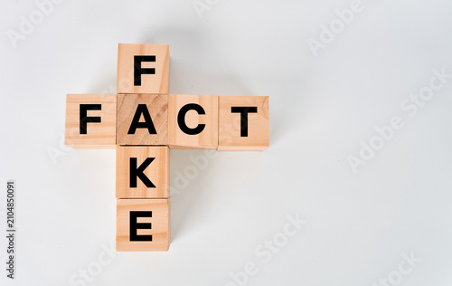 Photography Cubes spelling FAKE vertically and FACT horizontally isolated on white backgroun