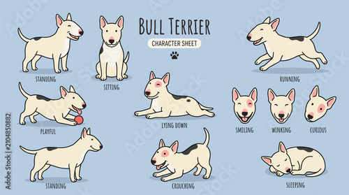 Bull Terrier dog character sheet poses expressions playful cute whimsical retro vector illustration