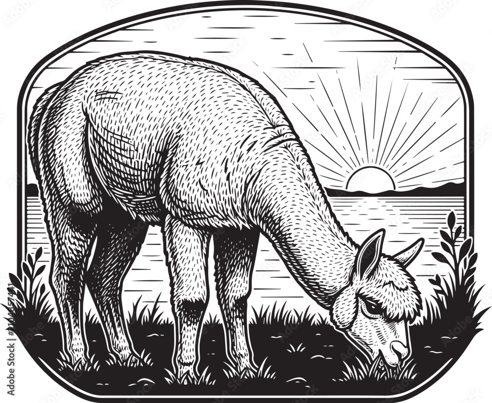 Fototapeta premium Engraved Style Illustration of an Alpaca Grazing at Sunset in a