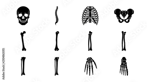 Quadro su tela Human skeletal system bone icons and silhouettes for medical study