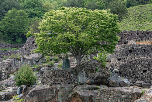 Large Green Tree Among Stone Walls and Rocks in a Mountain Landscape