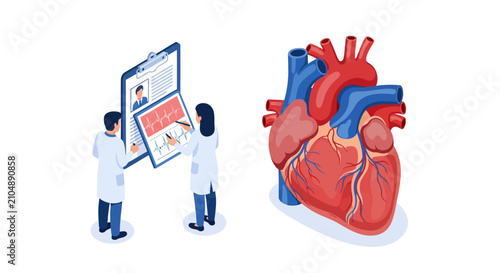 Medical team studies heart health with ECG chart and anatomical model