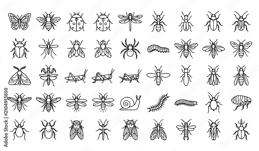 Fototapeta premium Modern Insect Linear Icon Set Featuring Garden Bugs, Pollinators, Pests, and Nature Symbols