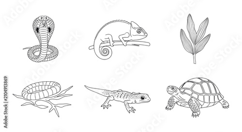 Bild auf Leinwand Reptile and amphibian species line art collection.