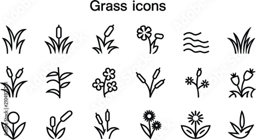 Photos Flat design grass icon set with green forest foliage and wetland cattail reed bo