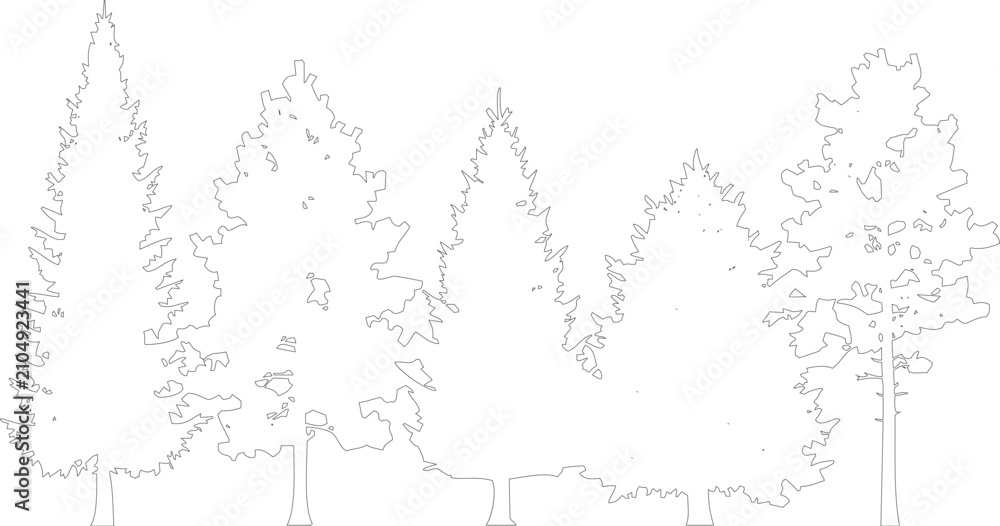 Obraz premium Assortment of black and white coniferous trees in line drawing style showcasing different textures and shapes on transparent background.