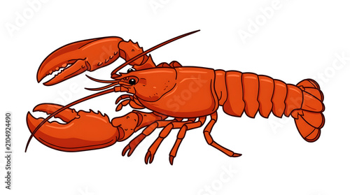Vibrant red cartoon lobster illustration, a popular seafood delicacy, showcasing marine life art with detailed claws and antennae on a white background
