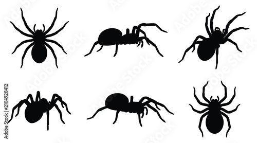 Fotografie Set of black spider silhouettes in different poses