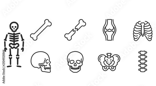 Set of human skeleton and bone icons