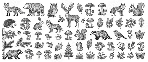 Canvas Print Hand-Drawn Forest Animals and Nature Elements Collection