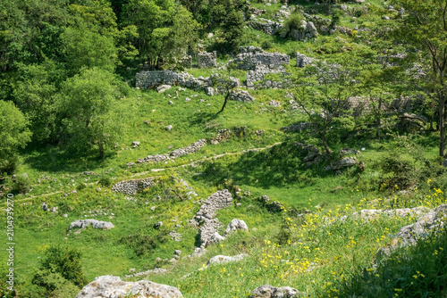 Принти на полотні A lush green landscape with scattered rocks and remnants of ancient stone structures