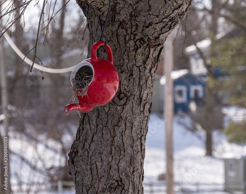 Red teapot birdhouse on tree in winter