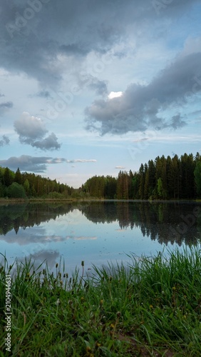 Forest Lake with Grass Foreground Reflection and Cloudy Sky Vertical Nature Landscape