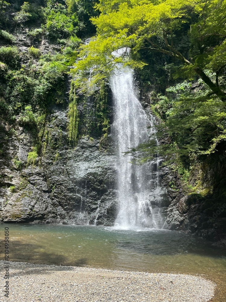 Fototapeta premium Minoh Waterfall Cascading Over Mossy Rocks Osaka Japan