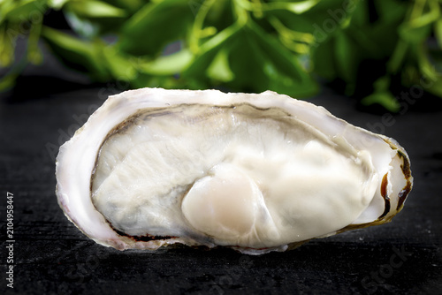 Foto Fresh Raw Oyster in Shell on Dark Slate with Green Lettuce Background - Premium