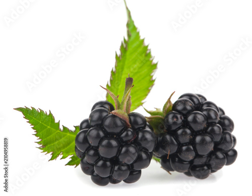 Blackberry isolated on a white background.