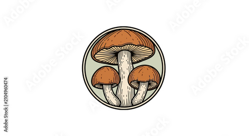 Fotografie Vintage mushroom trio illustration in circular frame
