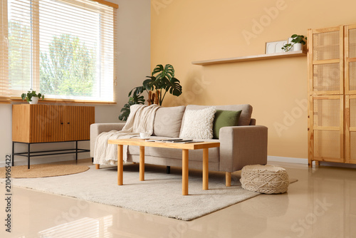 Modern living room interior...