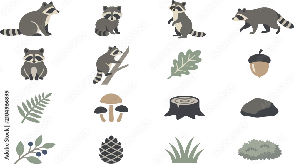 Obraz premium Charming set of raccoon illustrations with forest elements like leaves and acorns on a white background.