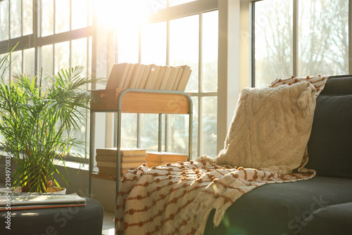 Interior of living room with sofa, houseplant and book shelf near window