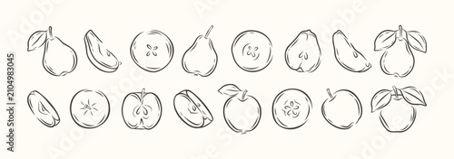 Hand drawn apple and pear vector collection featuring whole fruits with leaves, halves and organic fresh slices isolated on white background