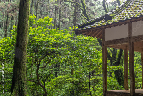Foto 苔むした和風屋根と緑に包まれた森の静寂