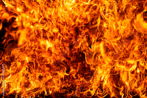 Bild auf Leinwand Flame burns beside bright flames