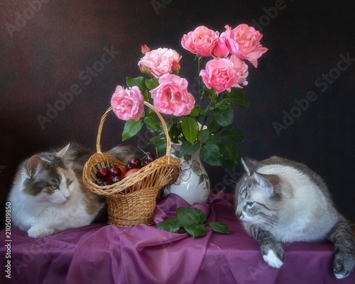 Two adorable cat and  bouquet of pink roses 