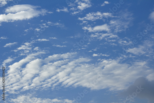 Bild auf Leinwand It is a blue sky with cirrocumulus clouds.