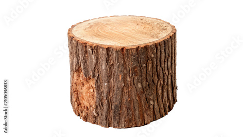Photos Round natural tree log segment bark texture asset isolated on transparent backgr