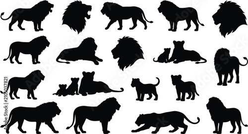 Bild auf Leinwand Set of black lion silhouettes in various natural poses including walking, sittin