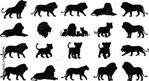 Foto Set of black lion silhouettes showing various natural behaviors like walking, si