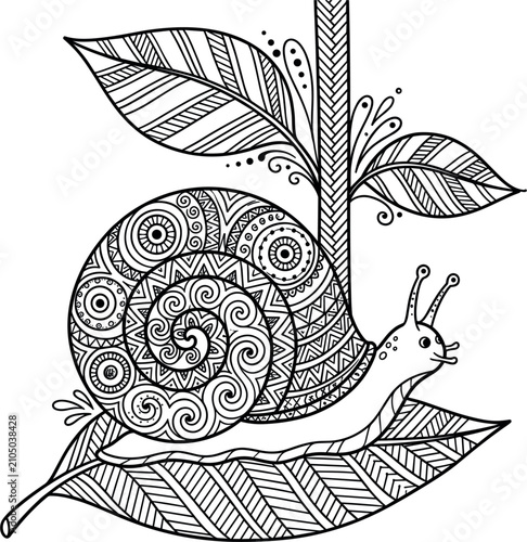 Foto Intricate zentangle snail vector illustration crawling on detailed doodle patter