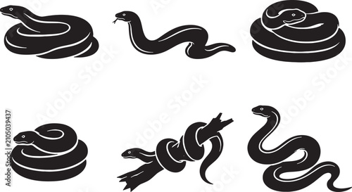 Photos Rosy Boa Snake Silhouette Icon Set Black Vector Pet Reptile Constrictor Collecti