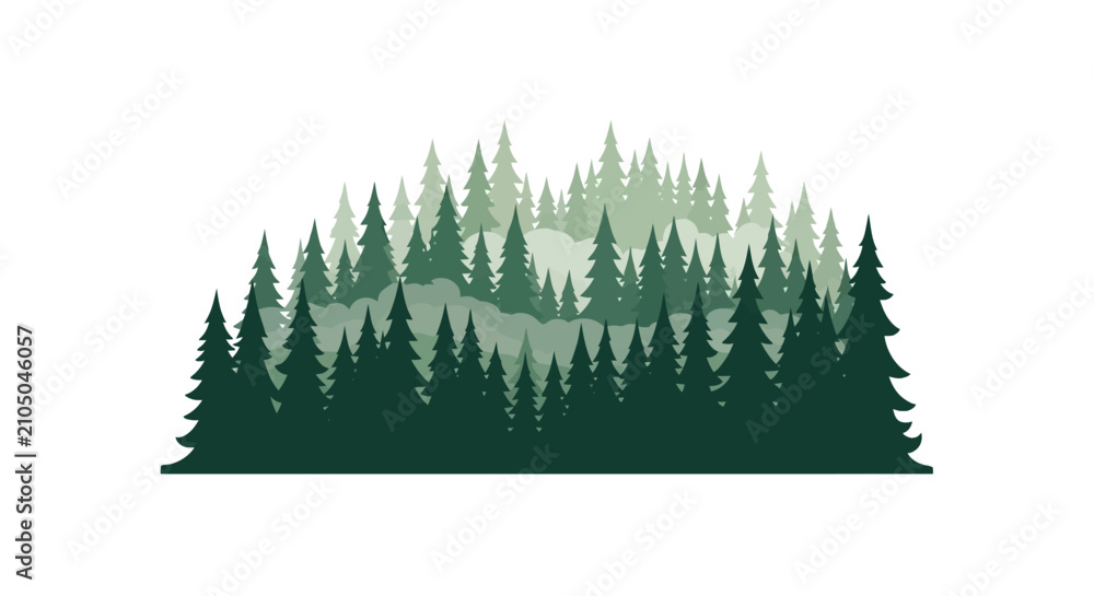 Obraz premium Dense evergreen pine forest in shades of green