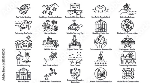 Sea turtle conservation and marine protection icons.