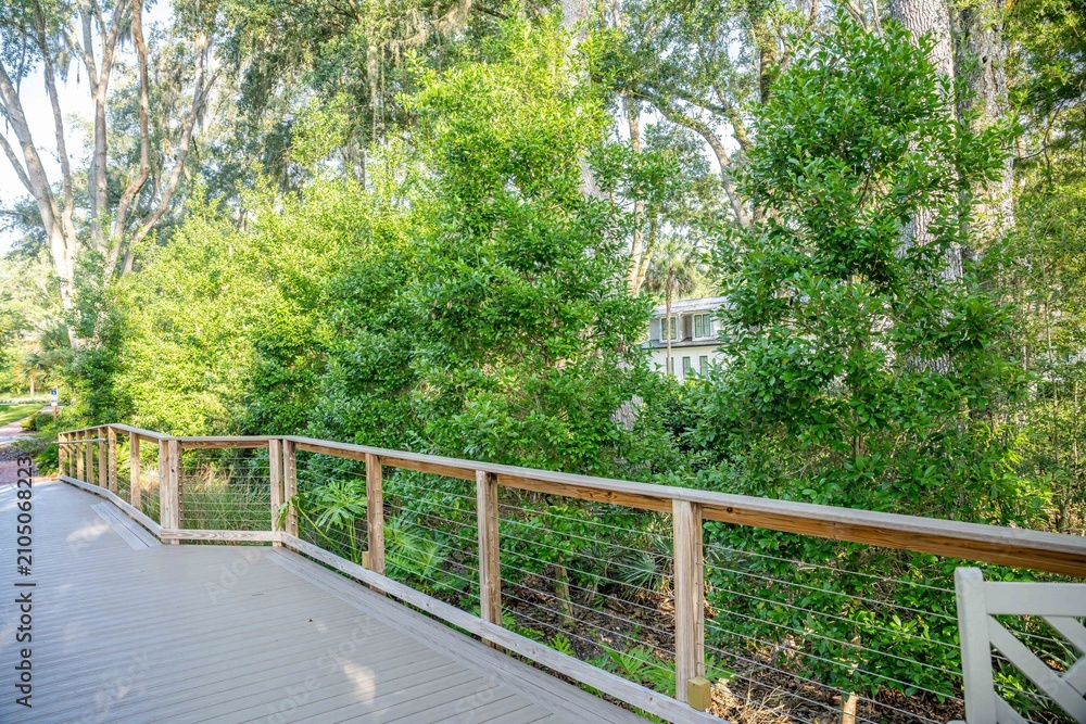 Fototapeta premium landscaping in nocatee