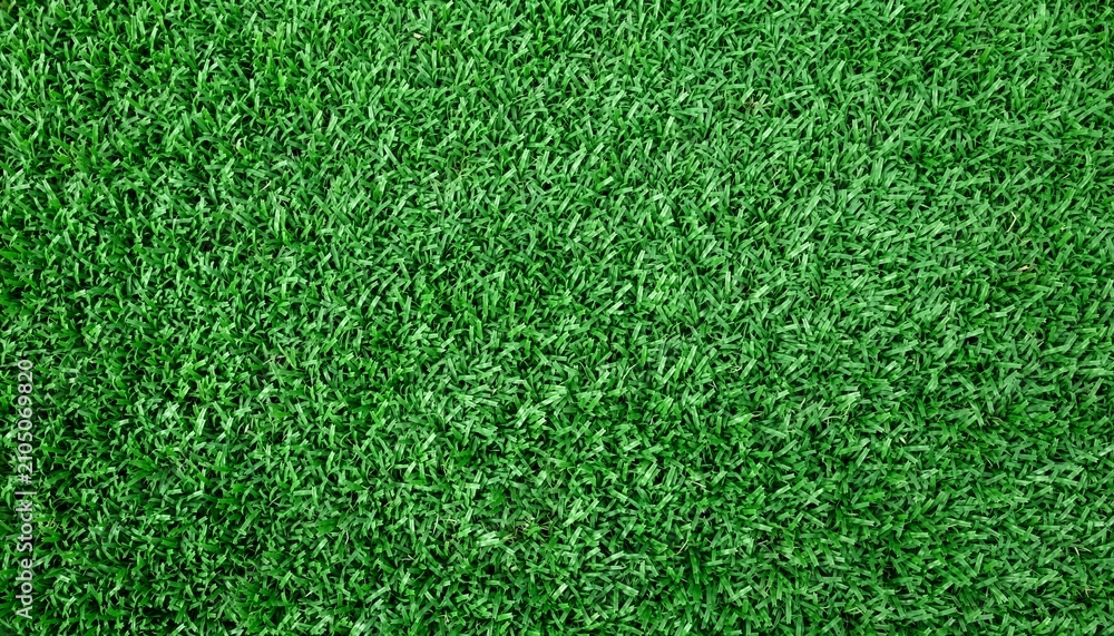 Obraz premium Seamless pattern of dense green grass texture captured from directly above.