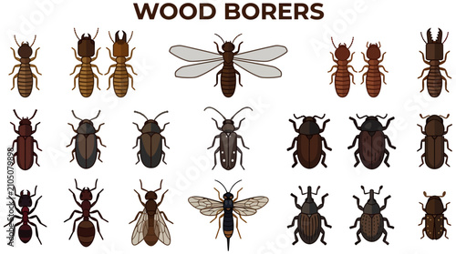 Bild auf Leinwand A grid of 21 flatstyle vector illustrations of various woodboring insects includ
