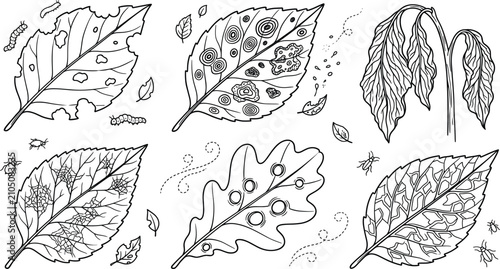 Bild auf Leinwand Plant disease damaged leaves vector line art set with caterpillar spots mold wil