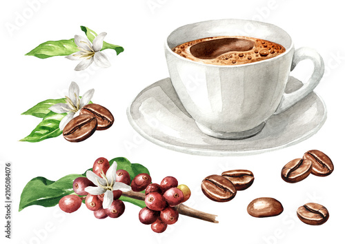 Cup of coffee with branch of coffee tree and coffee beans set. Original Hand drawn watercolor illustration, isolated on white background