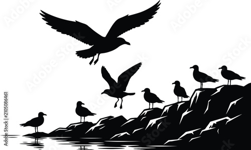 Canvas Print Seagull silhouette against a white background a monochromatic avian scene bird b