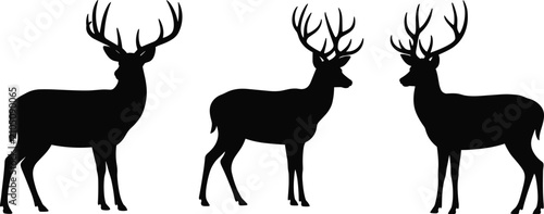 Принти на полотні Three black silhouette stags with large antlers standing in profile against a white background, showcasing wild animals