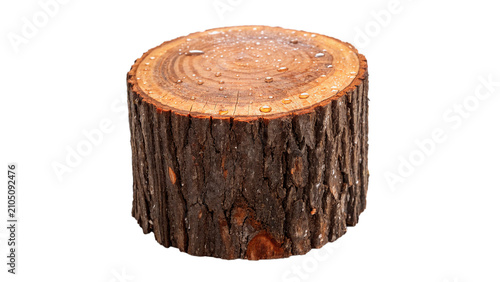Bild auf Leinwand Round natural tree log segment bark texture asset isolated on transparent backgr