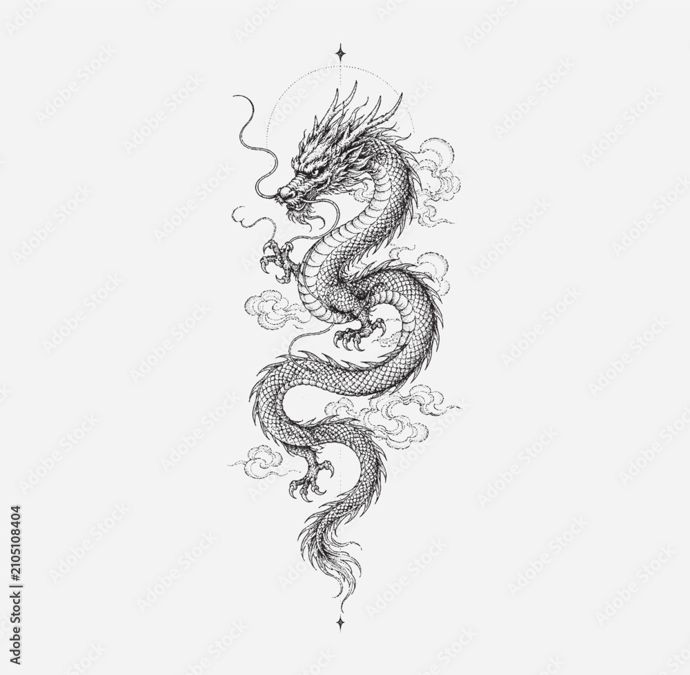 Fototapeta premium vector illustration of a dragon