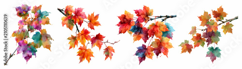 Canvastavla Autumn maple leaves in a vibrant watercolor illustration, showing colorful folia