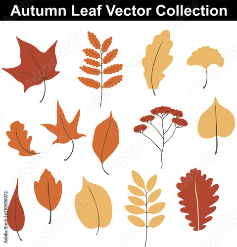 Set of colorful autumn leaves icons and botanical forest plant elements