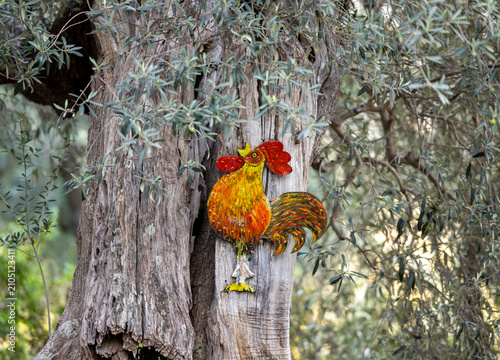 Colorful wooden rooster figurine, garden ornament, hanging from an old olive tree in Montemassi, a picturesque village in Tuscany, Italy.